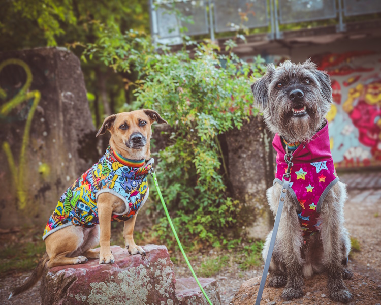 SaarbrooklynWuffStyle
