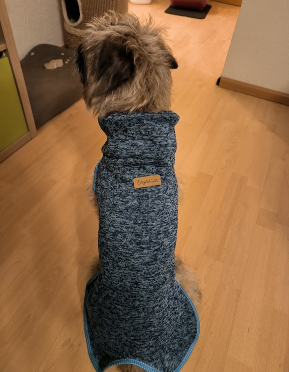 Hundepullover - Image 2