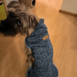 Hundepullover