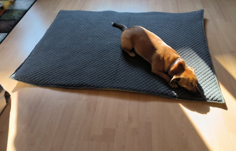 Hundedecke ToGo - Image 3